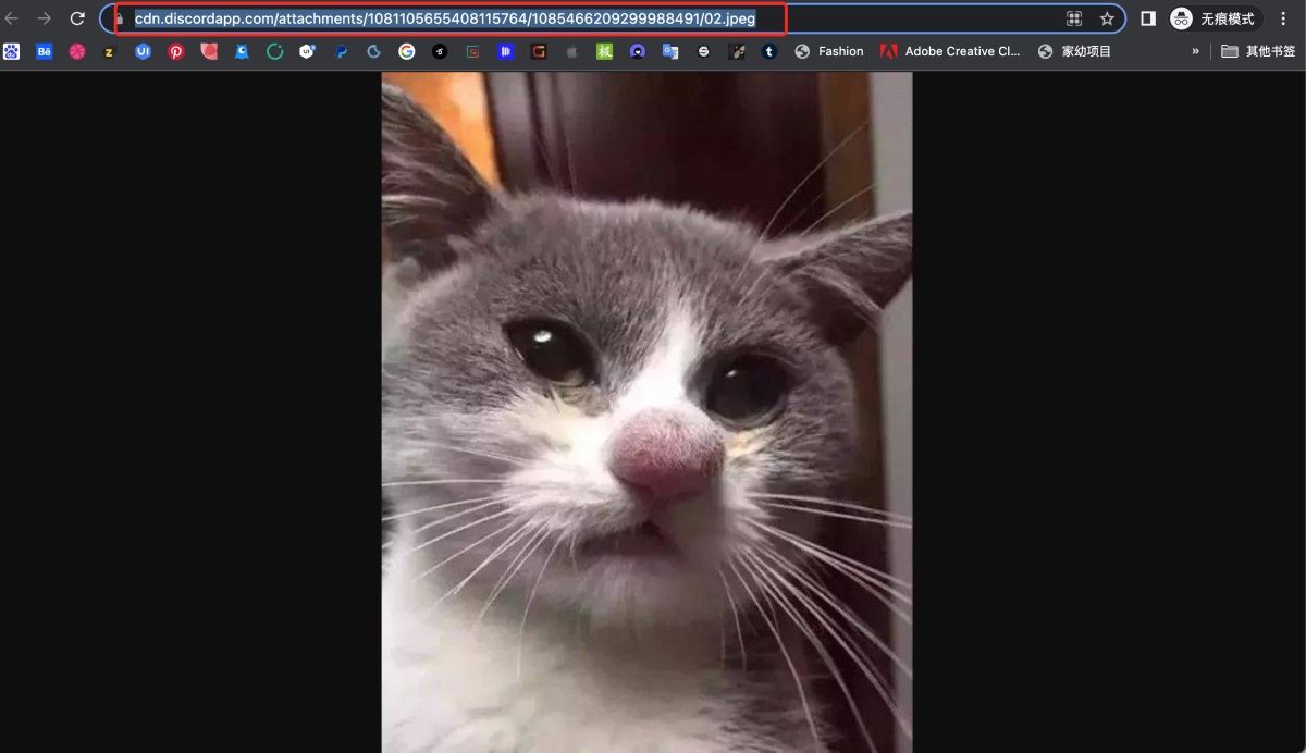 超详细！AI 绘画神器 Midjourney 进阶使用手册